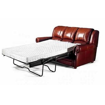 Woodstock leather Sofa bed