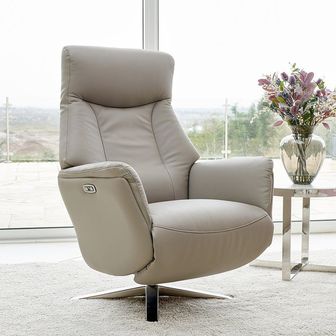 Alexa Swivel Rec Power