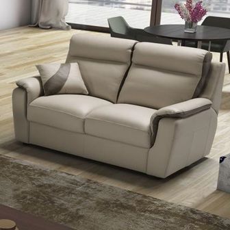 Device  leather 2 seater