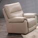 Marco leather power recliner chair